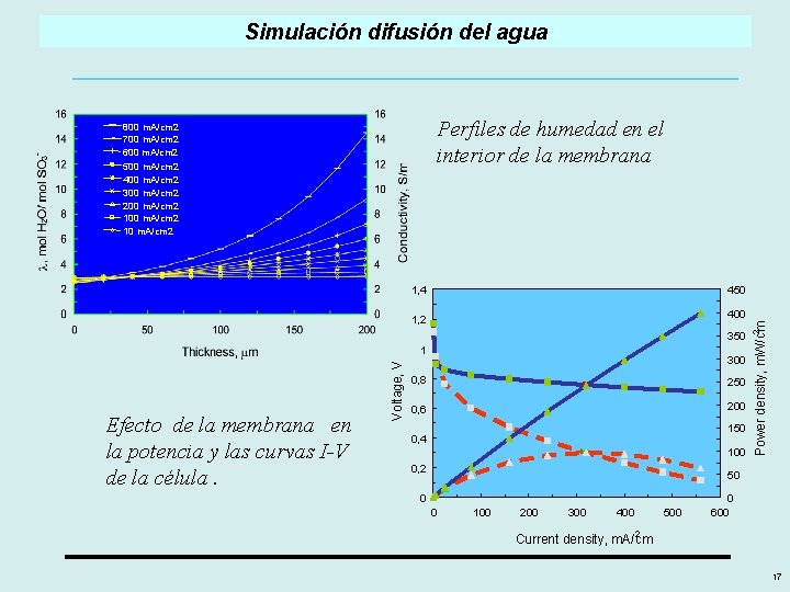 Simulación difusión del agua Perfiles de humedad en el interior de la membrana 800