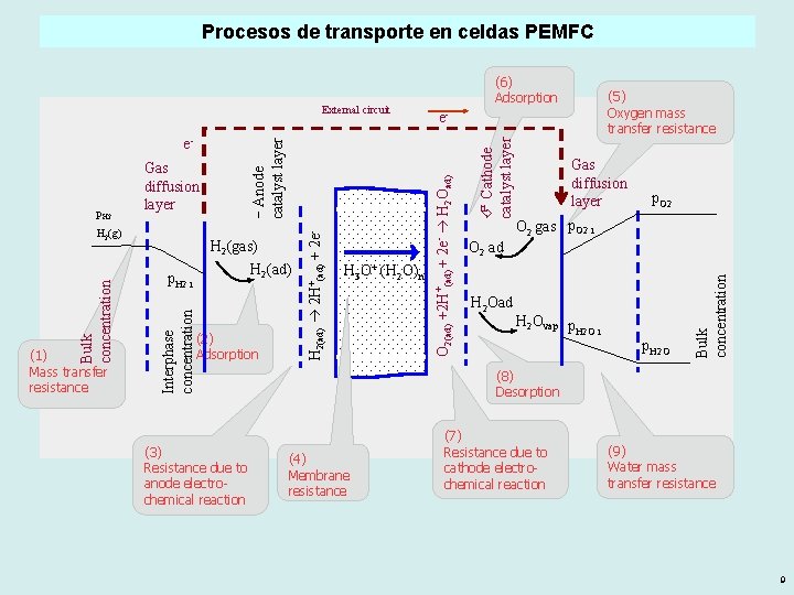 Procesos de transporte en celdas PEMFC H 2(ad) p. H 2 i (2) Adsorption