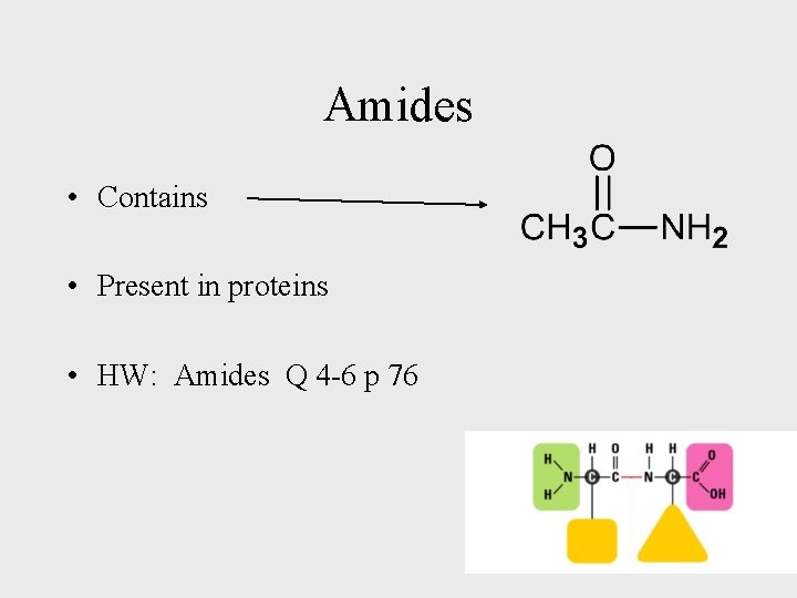 Amides • Contains • Present in proteins • HW: Amides Q 4 -6 p