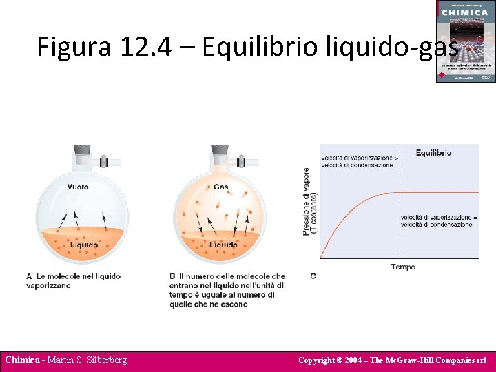 Figura 12. 4 – Equilibrio liquido-gas Chimica - Martin S. Silberberg Copyright © 2004
