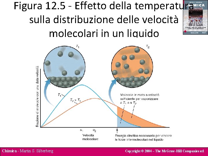 Figura 12. 5 - Effetto della temperatura sulla distribuzione delle velocità molecolari in un