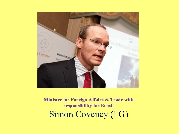 Minister for Foreign Affairs & Trade with responsibility for Brexit Simon Coveney (FG) 