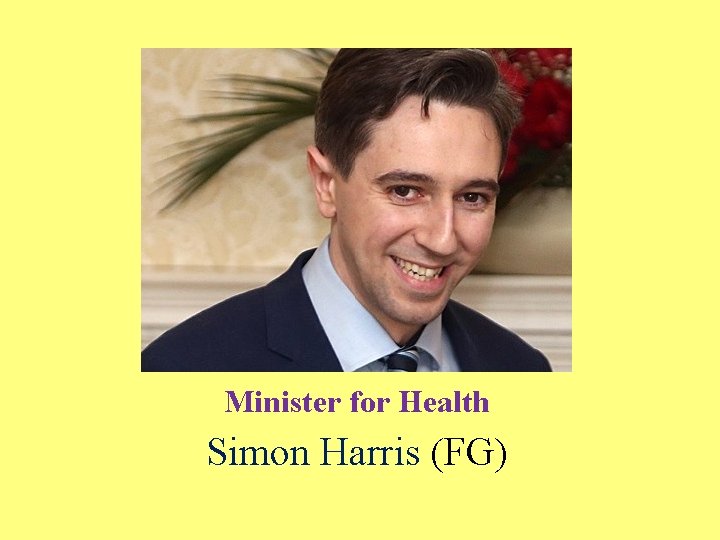 Minister for Health Simon Harris (FG) 