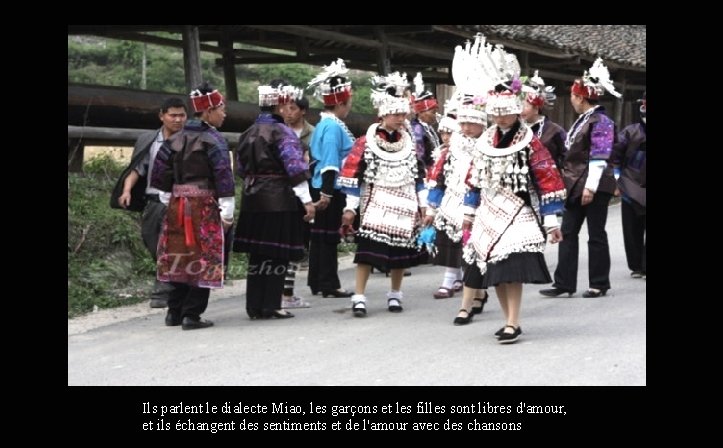 Ils parlent le dialecte Miao, les garçons et les filles sont libres d'amour, et