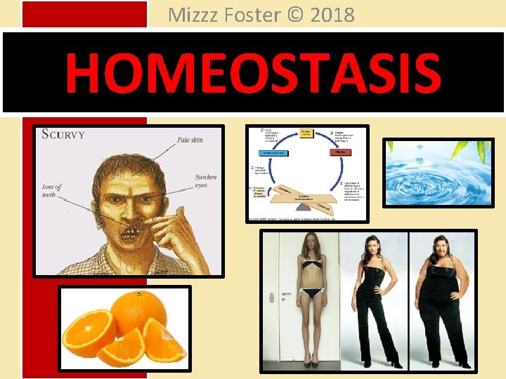 Mizzz Foster © 2018 HOMEOSTASIS 