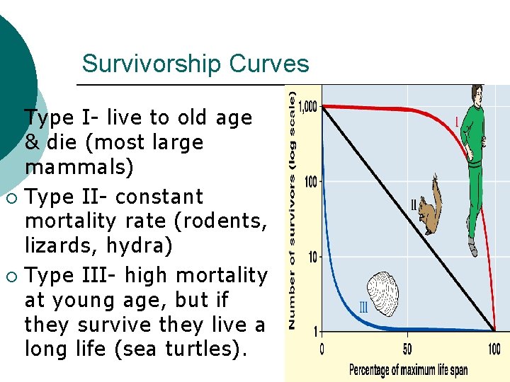 Survivorship Curves Type I- live to old age & die (most large mammals) ¡