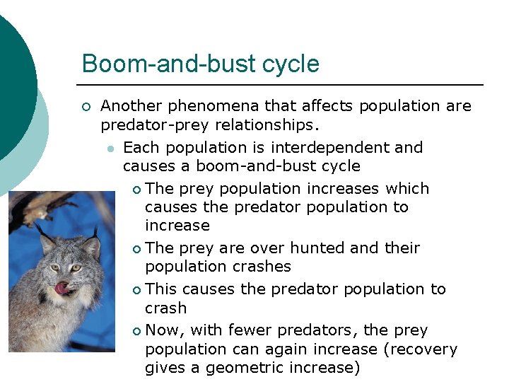 Boom-and-bust cycle ¡ Another phenomena that affects population are predator-prey relationships. l Each population
