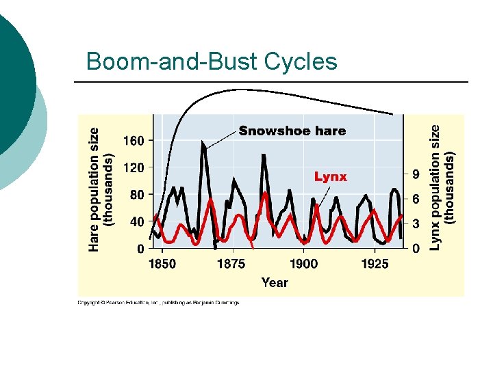 Boom-and-Bust Cycles 