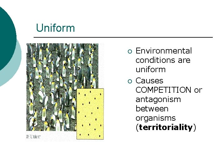 Uniform ¡ ¡ Environmental conditions are uniform Causes COMPETITION or antagonism between organisms (territoriality)