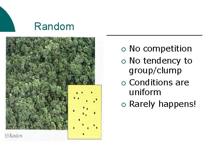 Random ¡ ¡ No competition No tendency to group/clump Conditions are uniform Rarely happens!