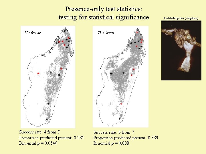 Presence-only test statistics: testing for statistical significance U. sikorae Success rate: 4 from 7