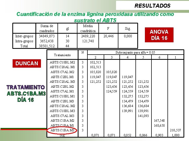 RESULTADOS Cuantificación de la enzima lignina peroxidasa utilizando como sustrato el ABTS Inter-grupos Intra-grupos