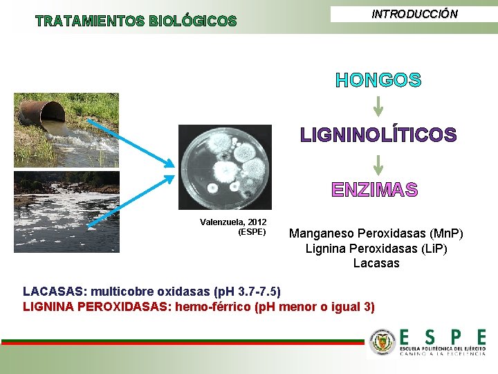 TRATAMIENTOS BIOLÓGICOS INTRODUCCIÓN HONGOS LIGNINOLÍTICOS ENZIMAS Valenzuela, 2012 (ESPE) Manganeso Peroxidasas (Mn. P) Lignina