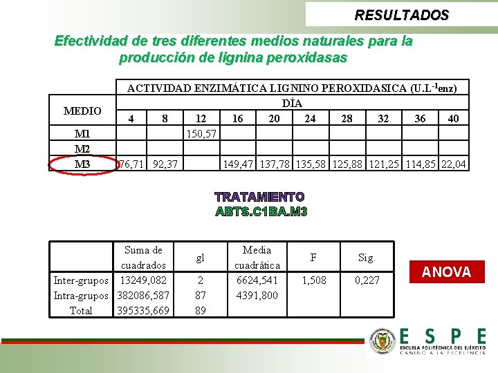 RESULTADOS Efectividad de tres diferentes medios naturales para la producción de lignina peroxidasas MEDIO