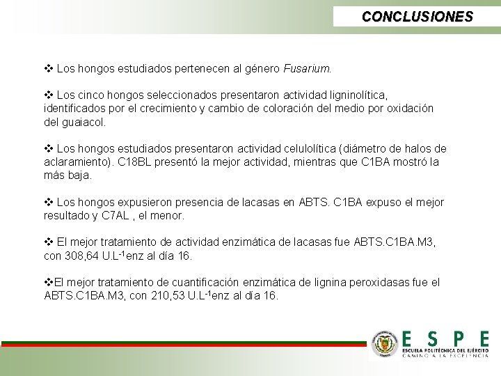 CONCLUSIONES v Los hongos estudiados pertenecen al género Fusarium. v Los cinco hongos seleccionados