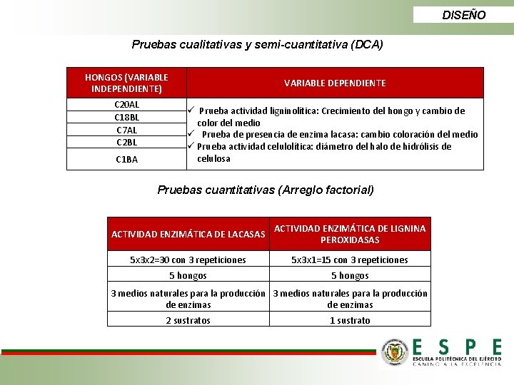 DISEÑO Pruebas cualitativas y semi-cuantitativa (DCA) HONGOS (VARIABLE INDEPENDIENTE) C 20 AL C 18