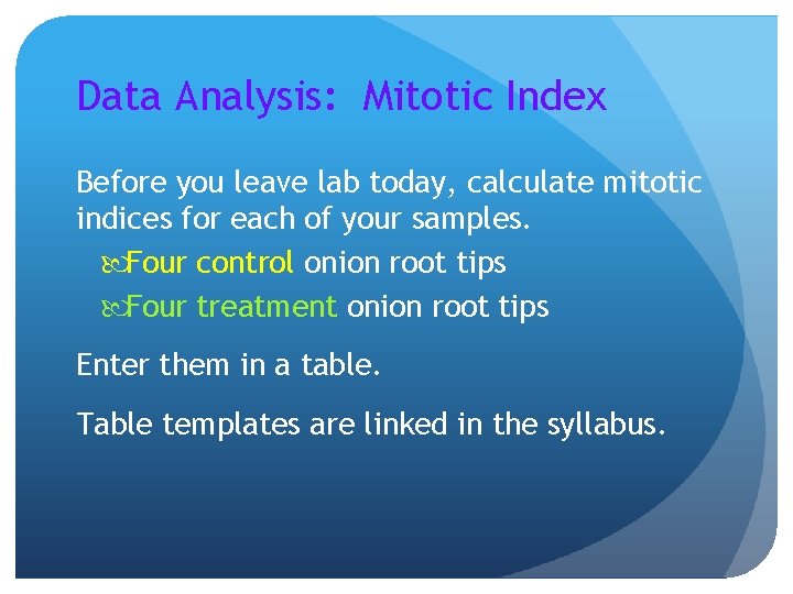 Data Analysis: Mitotic Index Before you leave lab today, calculate mitotic indices for each