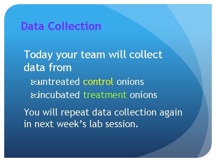 Data Collection Today your team will collect data from untreated control onions incubated treatment