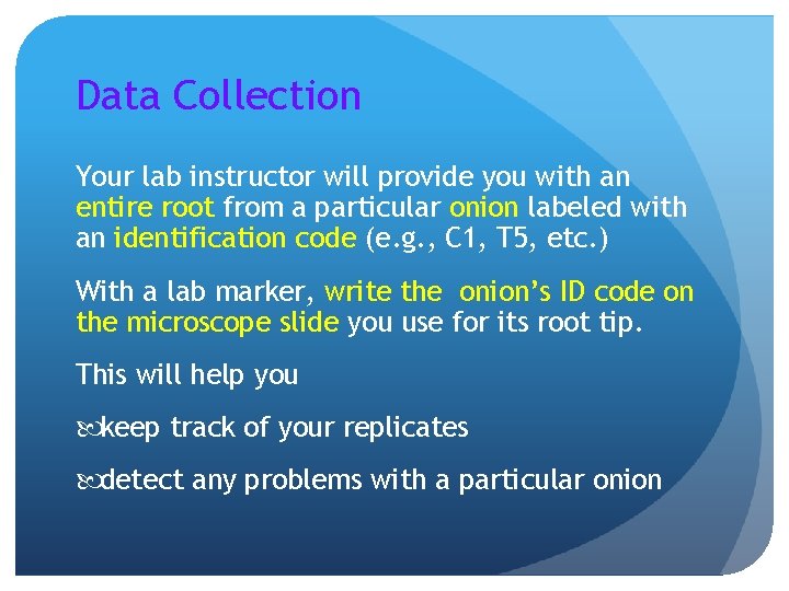 Data Collection Your lab instructor will provide you with an entire root from a