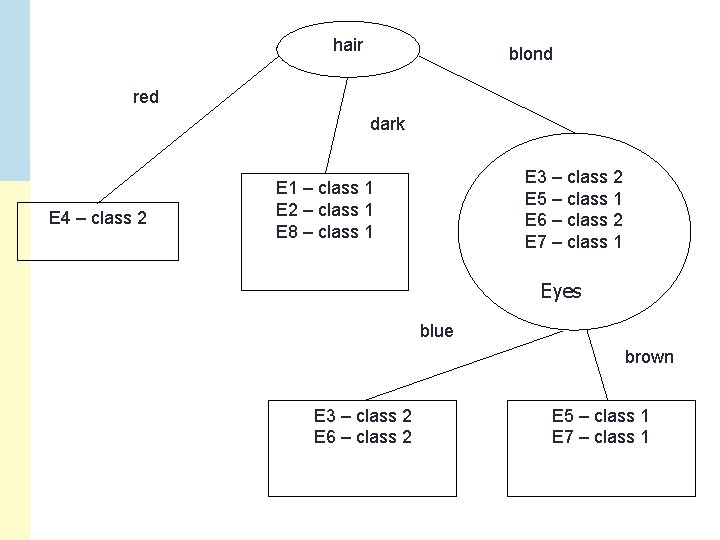 hair blond red dark E 4 – class 2 E 3 – class 2