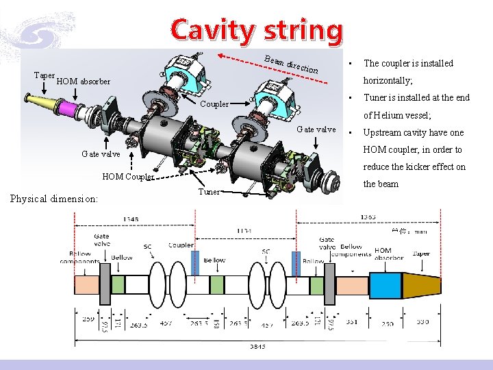 Cavity string Beam Taper direct ion • The coupler is installed horizontally; HOM absorber