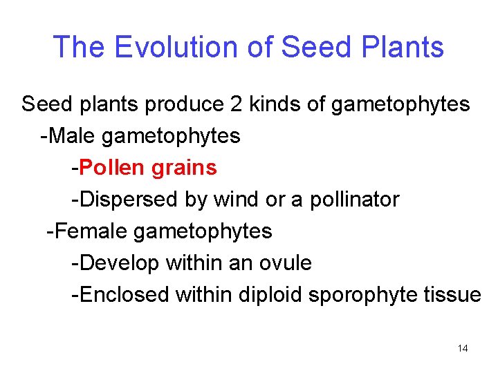 The Evolution of Seed Plants Seed plants produce 2 kinds of gametophytes -Male gametophytes