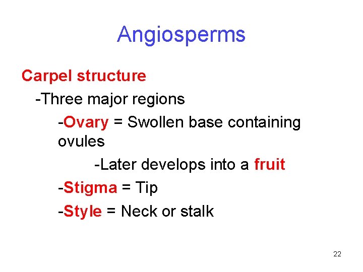 Angiosperms Carpel structure -Three major regions -Ovary = Swollen base containing ovules -Later develops Angiosperms Carpel structure -Three major regions -Ovary = Swollen base containing ovules -Later develops