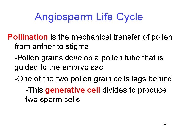 Angiosperm Life Cycle Pollination is the mechanical transfer of pollen from anther to stigma