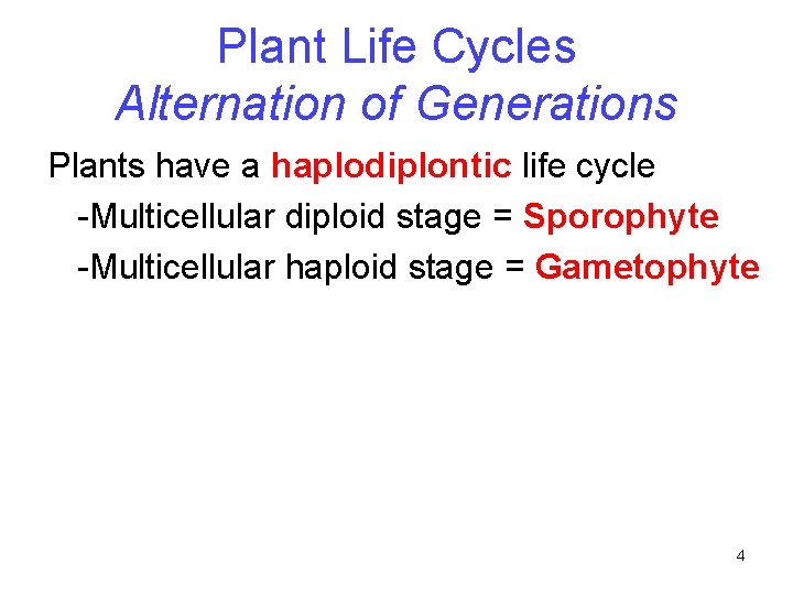 Plant Life Cycles Alternation of Generations Plants have a haplodiplontic life cycle -Multicellular diploid