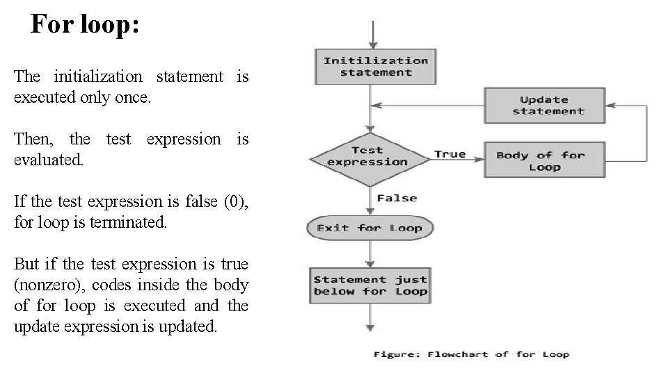 For loop: The initialization statement is executed only once. Then, the test expression is