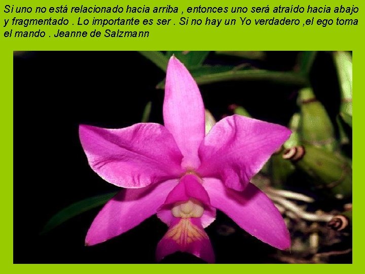 Si uno no está relacionado hacia arriba , entonces uno será atraído hacia abajo