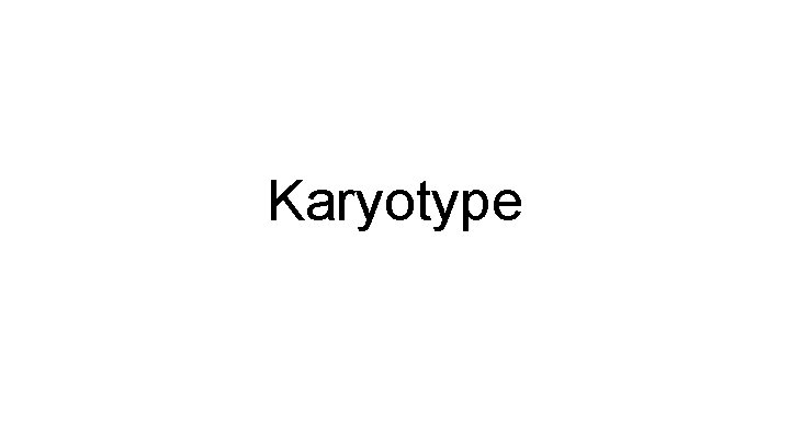 Karyotype Karyotype