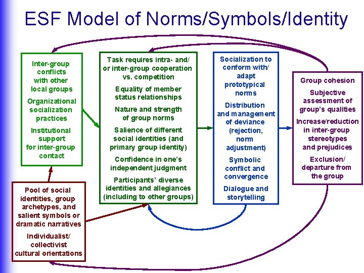 ESF Model of Norms/Symbols/Identity Inter-group conflicts with other local groups Organizational socialization practices Institutional