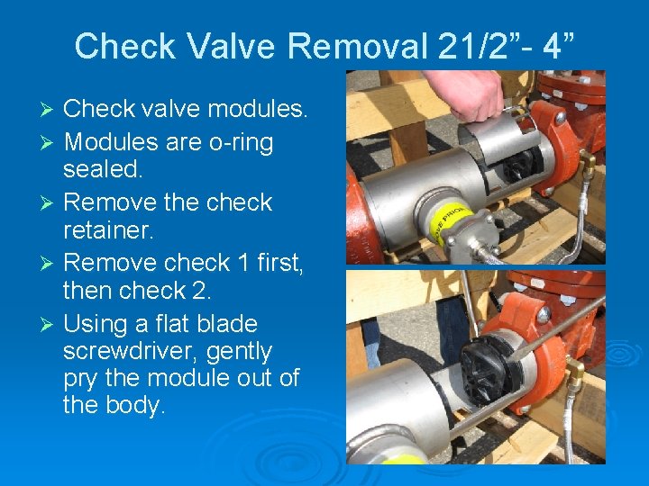Check Valve Removal 21/2”- 4” Check valve modules. Ø Modules are o-ring sealed. Ø Check Valve Removal 21/2”- 4” Check valve modules. Ø Modules are o-ring sealed. Ø