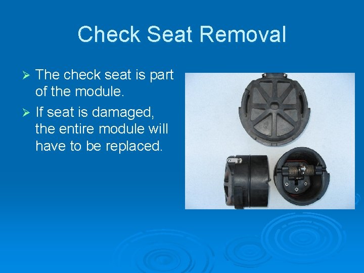 Check Seat Removal The check seat is part of the module. Ø If seat