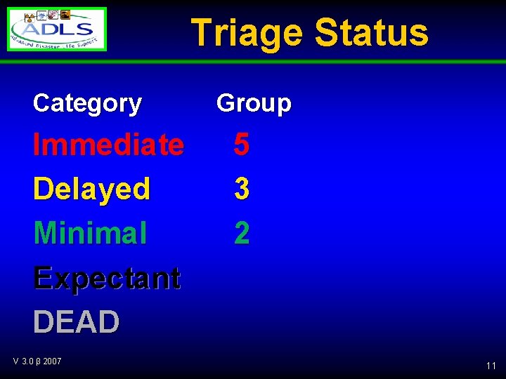 Triage Status Category Immediate Delayed Minimal Expectant DEAD V 3. 0 β 2007 Group