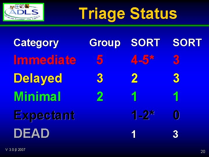 Triage Status Category Immediate Delayed Minimal Expectant DEAD V 3. 0 β 2007 Group