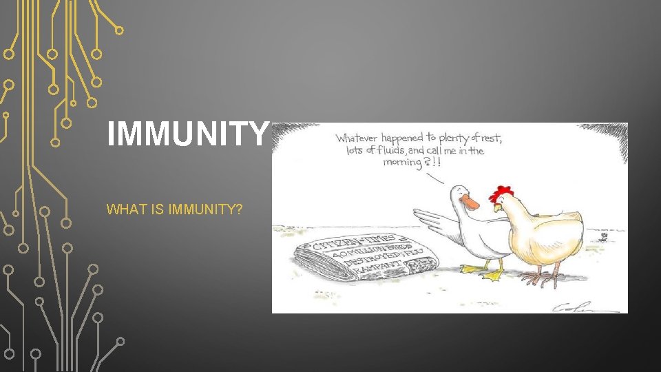 IMMUNITY WHAT IS IMMUNITY? 