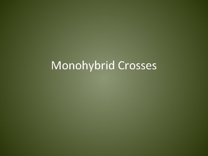 Monohybrid Crosses 