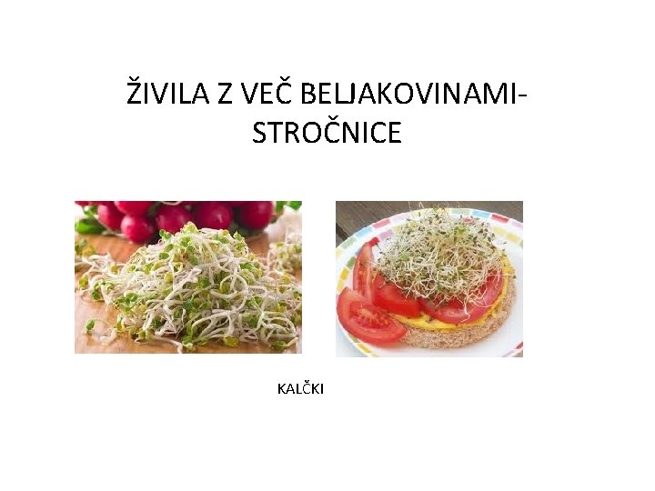 ŽIVILA Z VEČ BELJAKOVINAMISTROČNICE KALČKI 