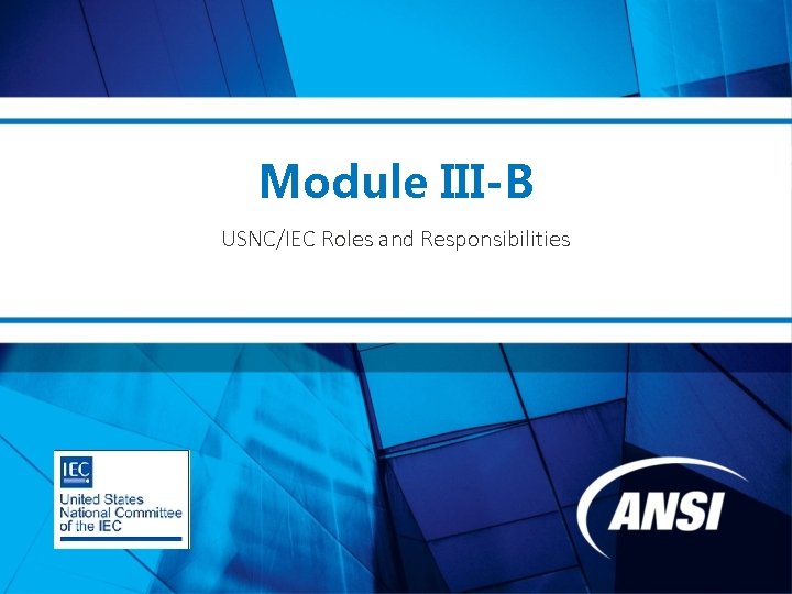 Module III-B USNC/IEC Roles and Responsibilities 