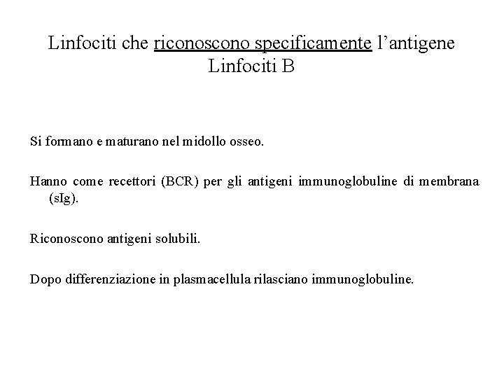 Linfociti che riconoscono specificamente l’antigene Linfociti B Si formano e maturano nel midollo osseo.