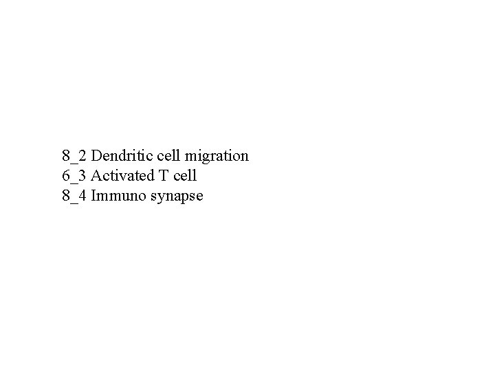 8_2 Dendritic cell migration 6_3 Activated T cell 8_4 Immuno synapse 