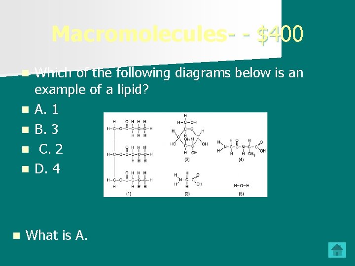 Macromolecules- - $400 n n n Which of the following diagrams below is an