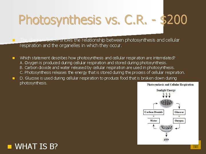 Photosynthesis vs. C. R. - $200 n The diagram below shows the relationship between