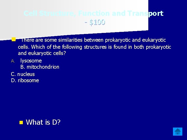 Cell Structure, Function and Transport - $100 n There are some similarities between prokaryotic