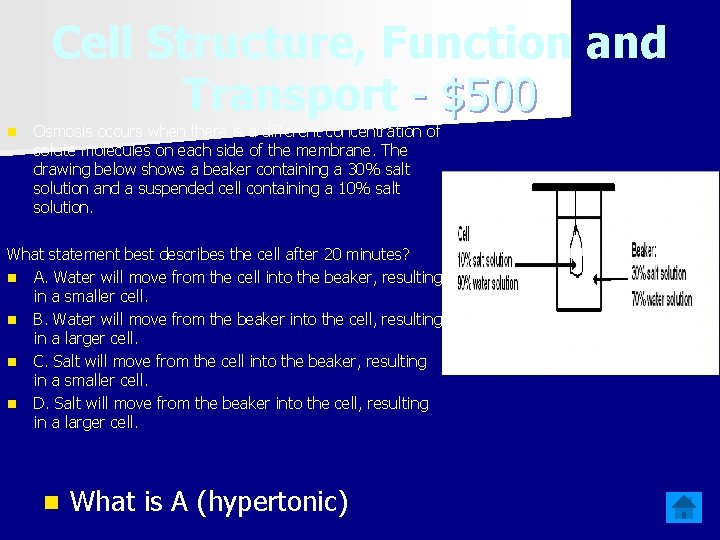 Cell Structure, Function and Transport - $500 n Osmosis occurs when there is a