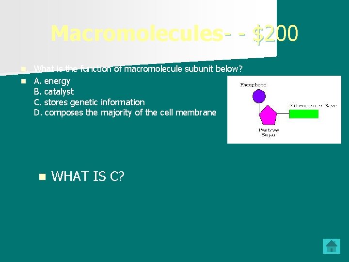 Macromolecules- - $200 What is the function of macromolecule subunit below? n A. energy