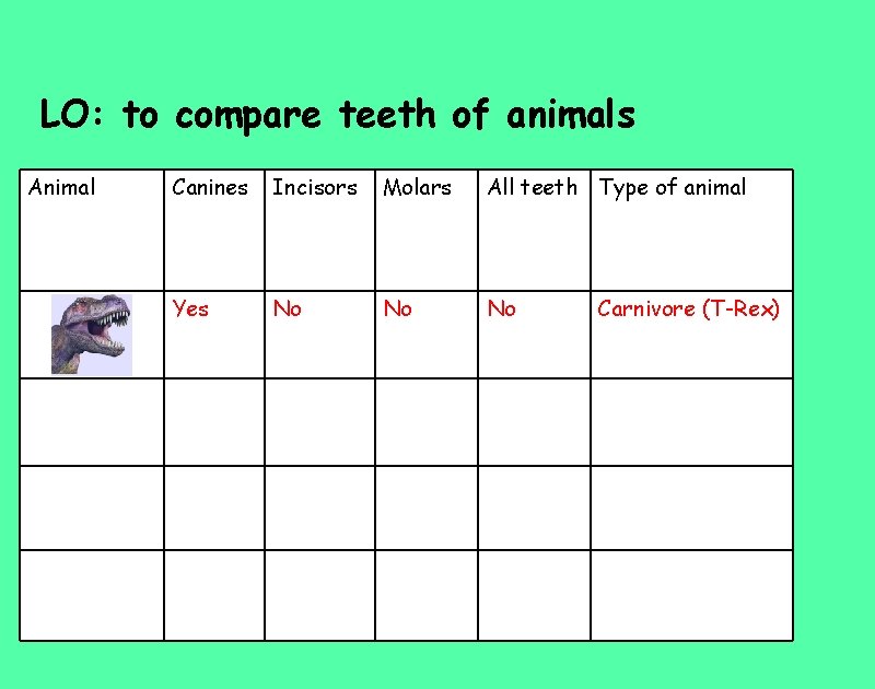 LO: to compare teeth of animals Animal Canines Incisors Molars All teeth Type of