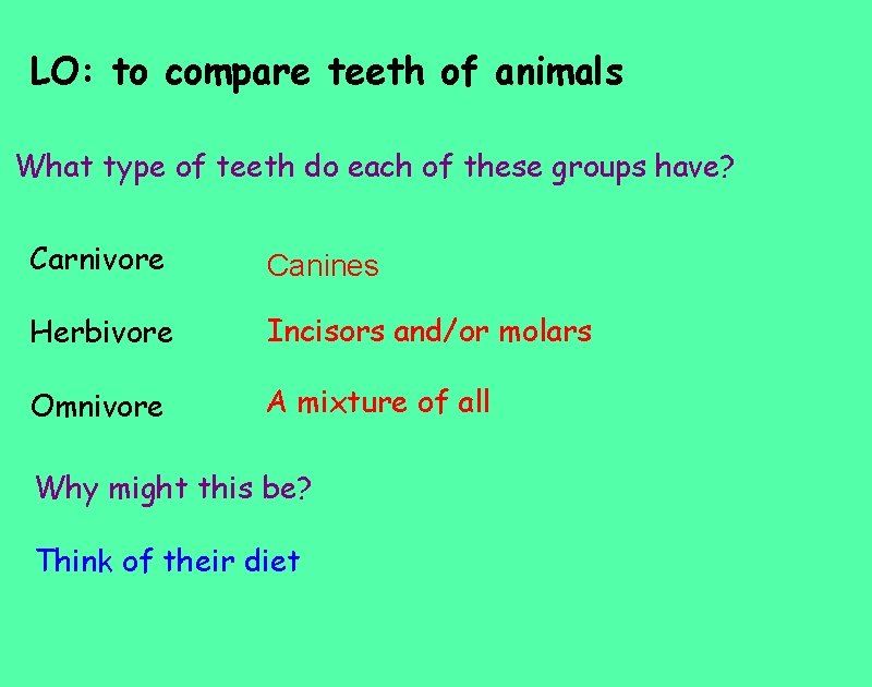 LO: to compare teeth of animals What type of teeth do each of these